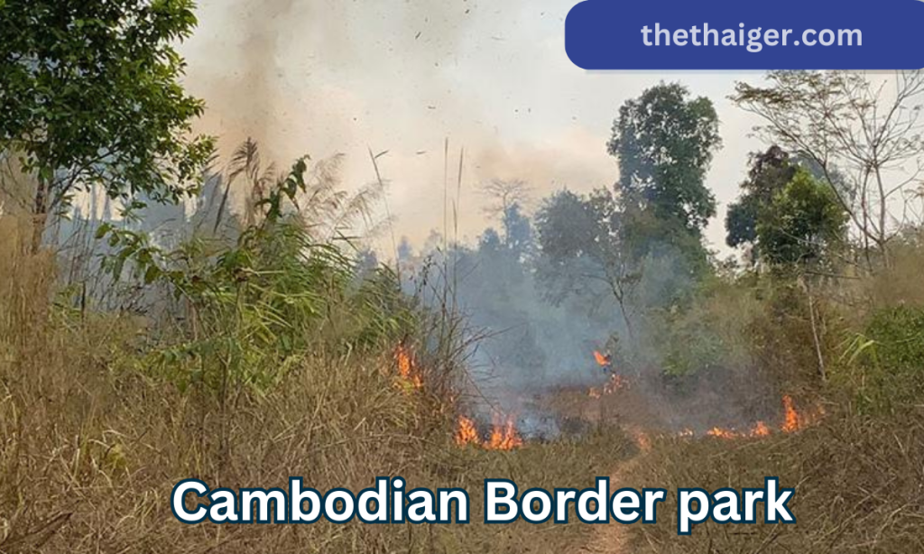 Raging forest fires force closure of Thai-Cambodian Border park