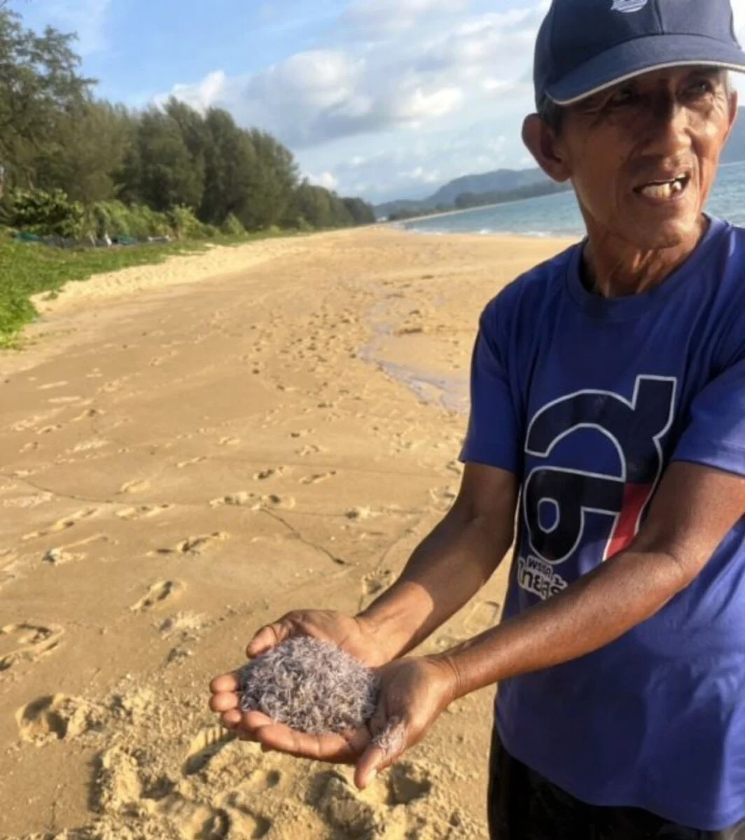Millions wash ashore a Phuket beach