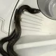 Serpent scare: Cobra found in washing machine sparks concerns