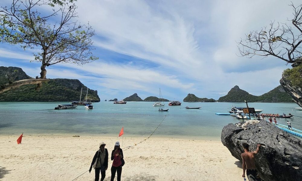 Ang Thong National Marine Park Faces Worst Coral Bleaching in a Decade